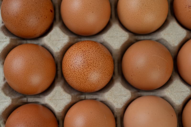 Как защититься от сальмонеллеза